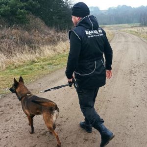 Dog training vest